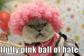 fluffy pink ball of hate - Cheezburger - Funny Memes | Funny Pictures